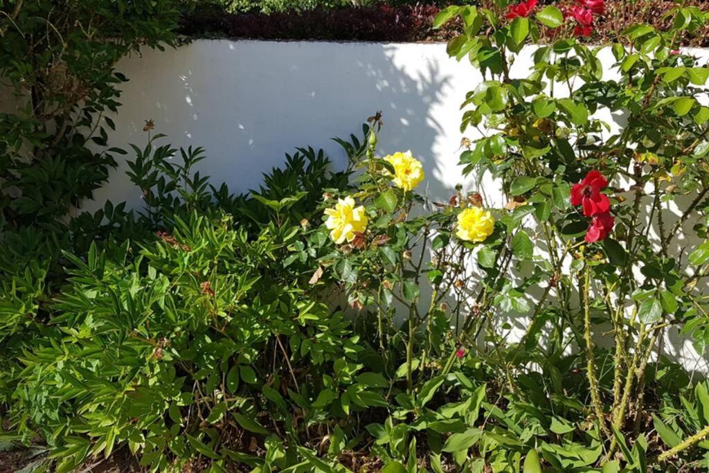 Le Clos De Chacha Βίλα Carly Εξωτερικό φωτογραφία